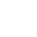 icono instagram